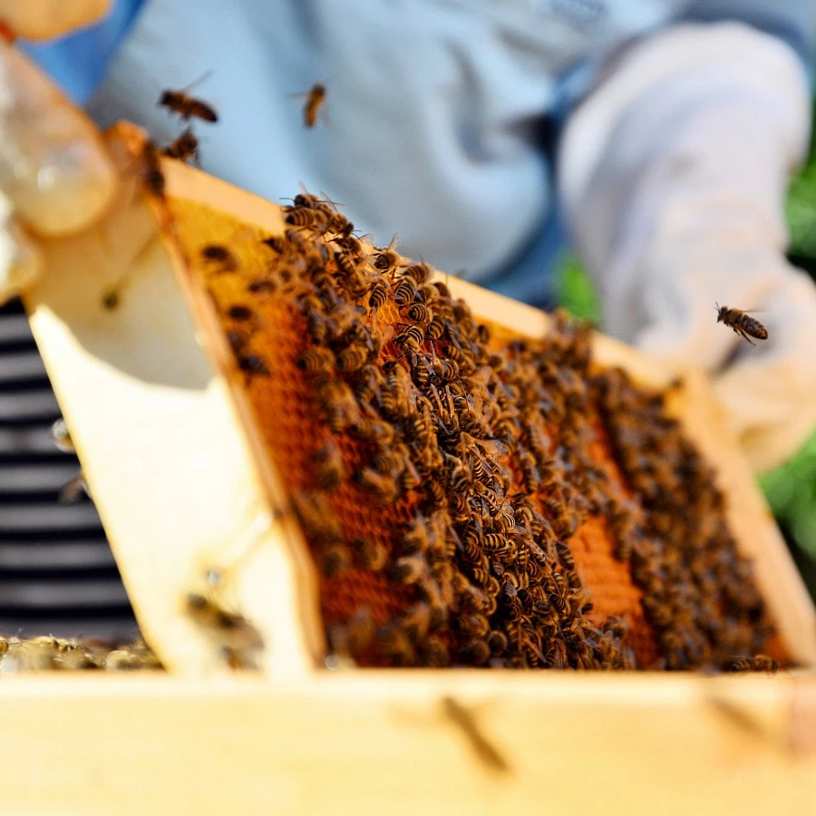 AdobeStock_182374021